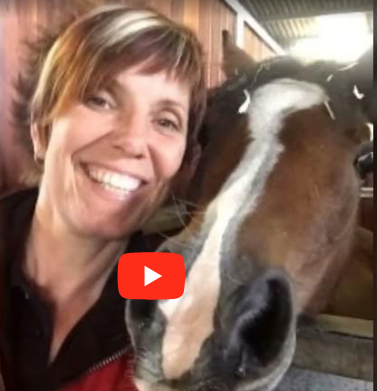 DEEP OSCILLATION® in Equine Video now on YouTube